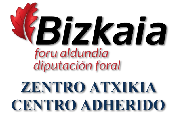Diputación Foral de Bizkaia